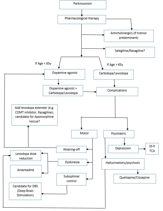 Parkinson’s Disease – Not Just Tremors